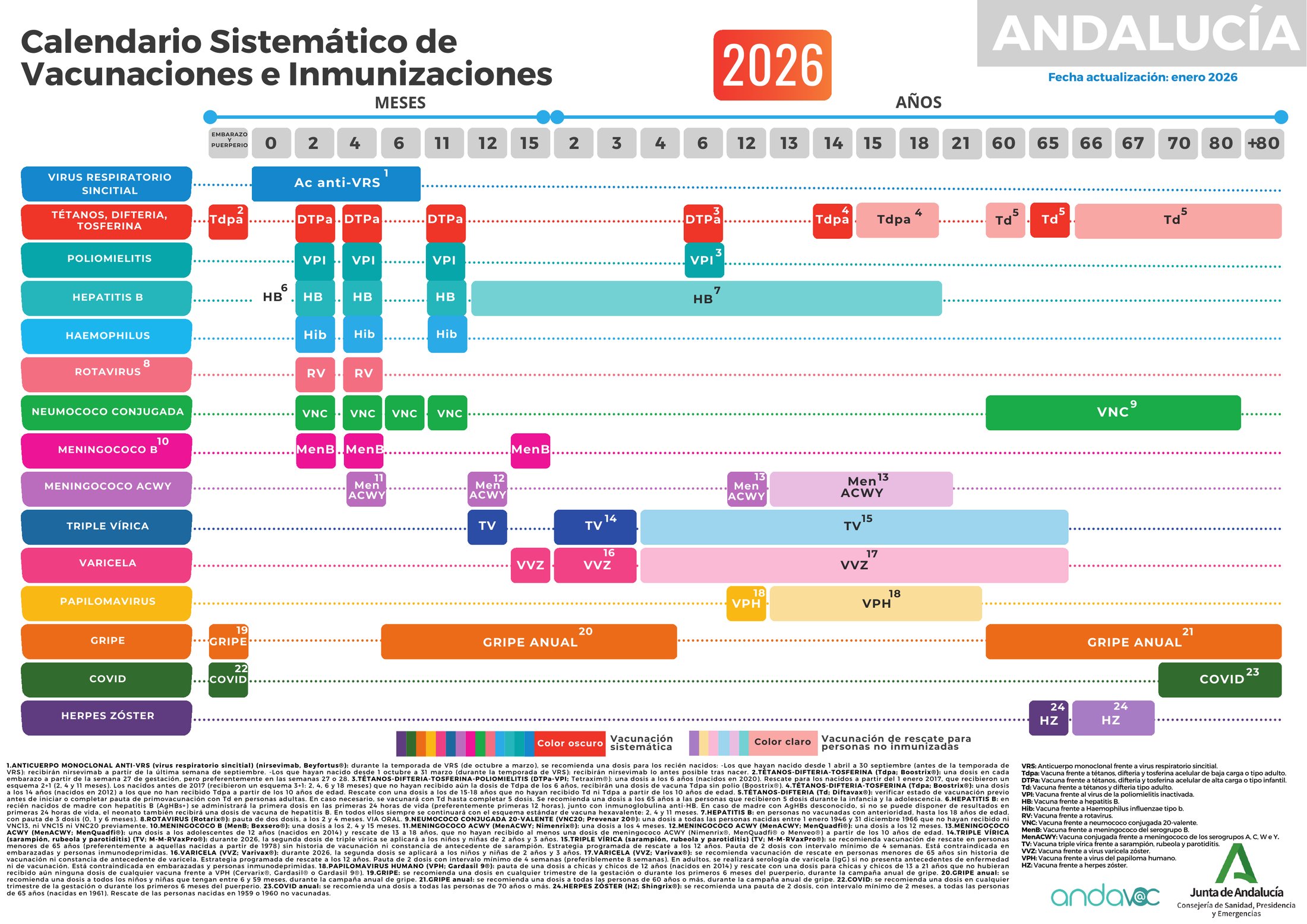 Calendario de Vacunaciones 2026 de Andalucía con las dosis sistemáticas y recomendadas por edades, junto a su leyenda